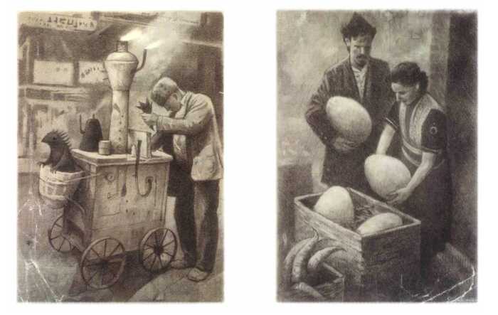 The Arrival – Shaun Tan